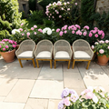Birch Lane Akiva Patio Dining Armchair with Sunbrella Cushions (Set of 4)