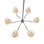 Lulu and Georgia Jordan Chandelier