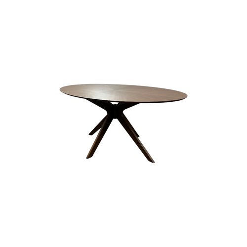 AllModern Nestor Oval Dining Table, image 5