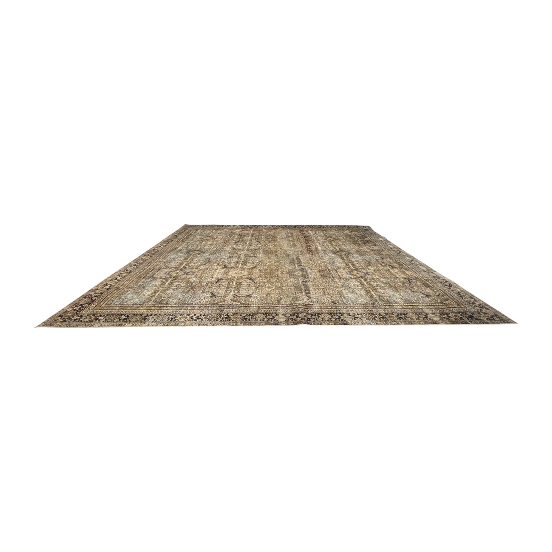 World Menagerie Giacinto Oriental Indoor Rug