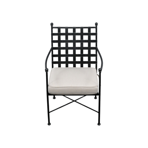 Birch Lane Lucier Premium All-Weather Wicker Outdoor Dining Armchair with Sunbrella Cushion, image 3