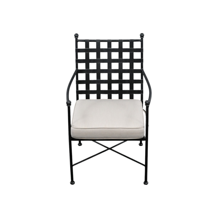 Birch Lane Lucier Premium All-Weather Wicker Outdoor Dining Armchair with Sunbrella Cushion, image 3