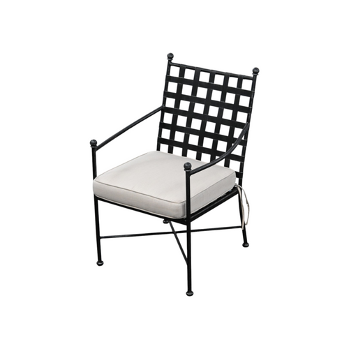 Birch Lane Lucier Premium All-Weather Wicker Outdoor Dining Armchair with Sunbrella Cushion, image 4