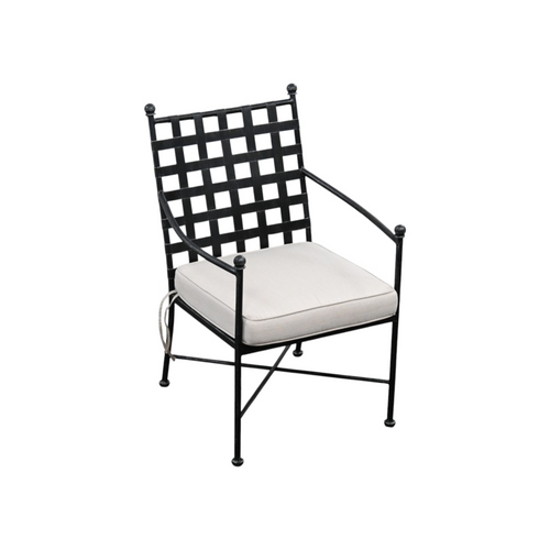 Birch Lane Lucier Premium All-Weather Wicker Outdoor Dining Armchair with Sunbrella Cushion, image 5