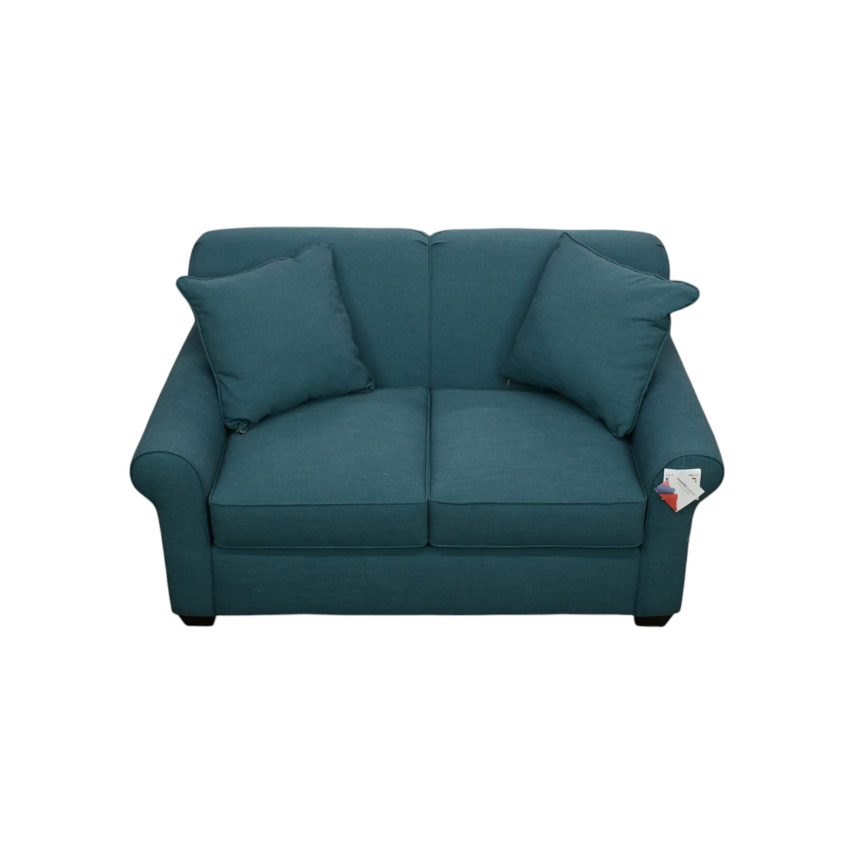 Edgecombe Furniture Finn Rolled Arm Sofa Bed Loveseat with Reversible Cushions