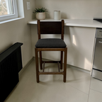 Denver Modern Avon Counter Stool