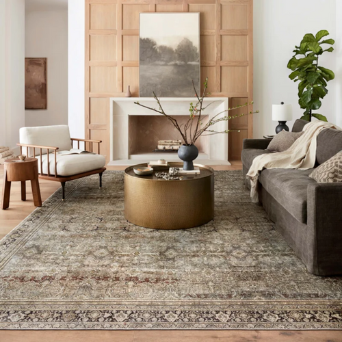 World Menagerie Giacinto Oriental Indoor Rug, image 1