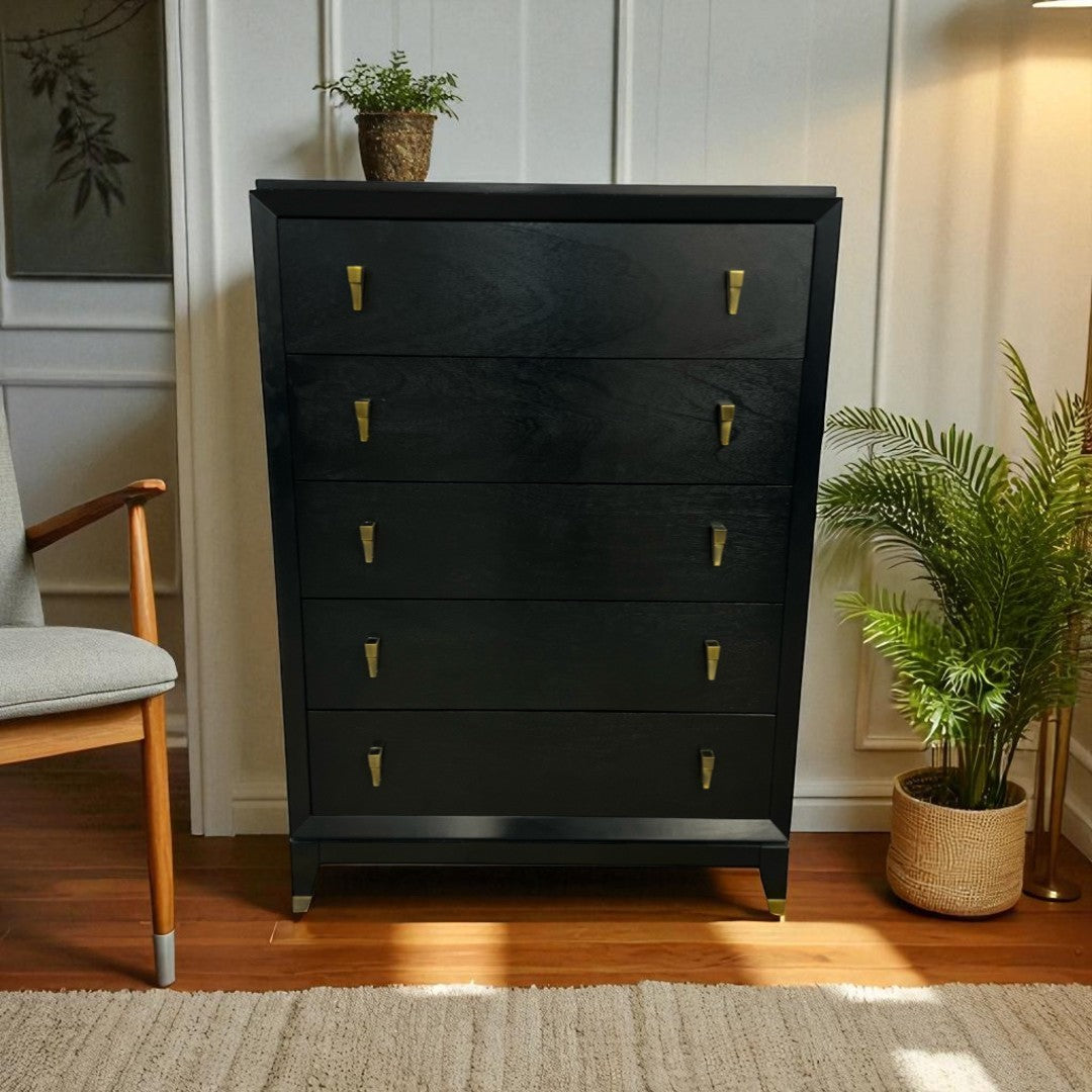 Raymour and Flanigan Tall 5 Drawer Dresser