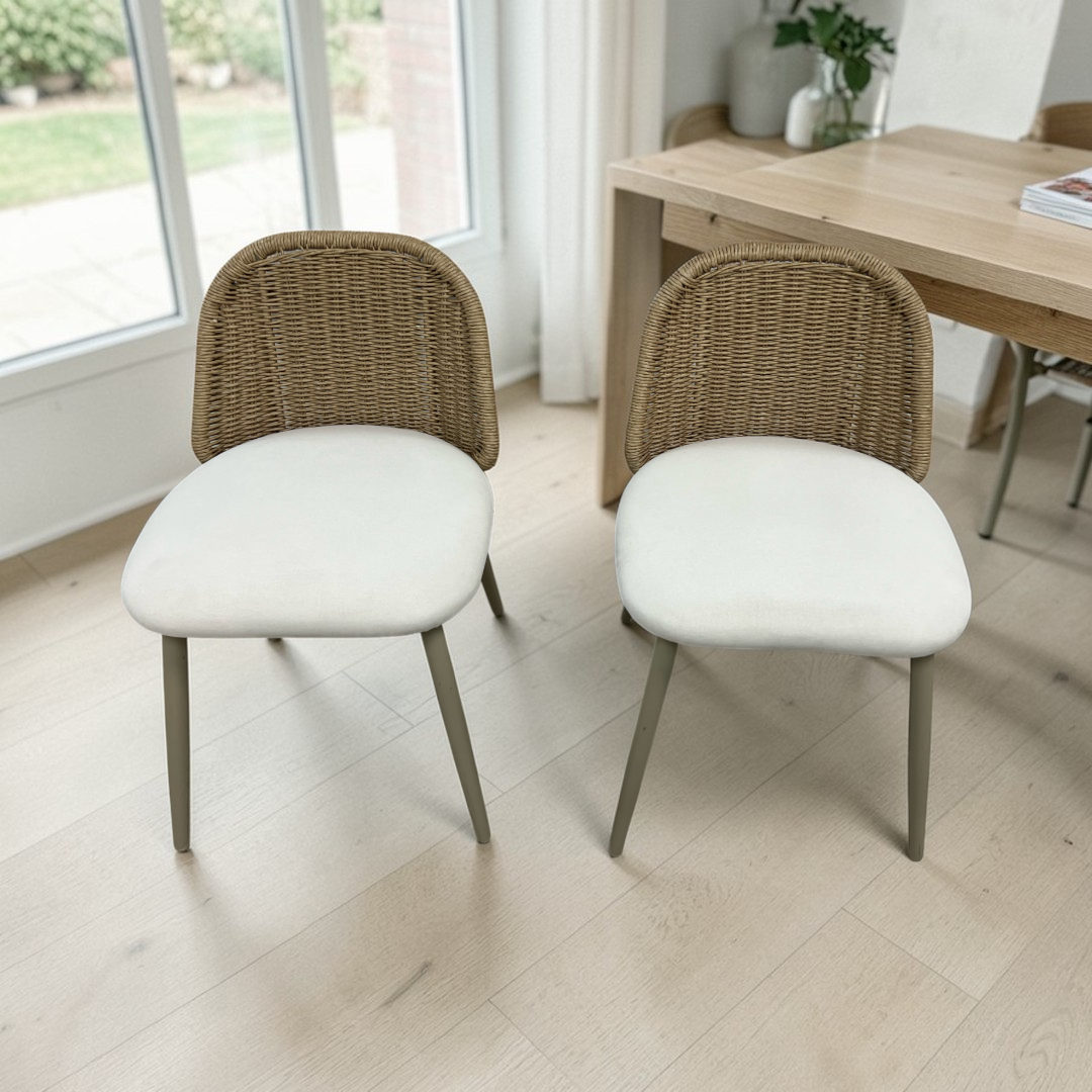 TOV Alexa Rattan Performance Fabric Outdoor Dining Chair Set of 2