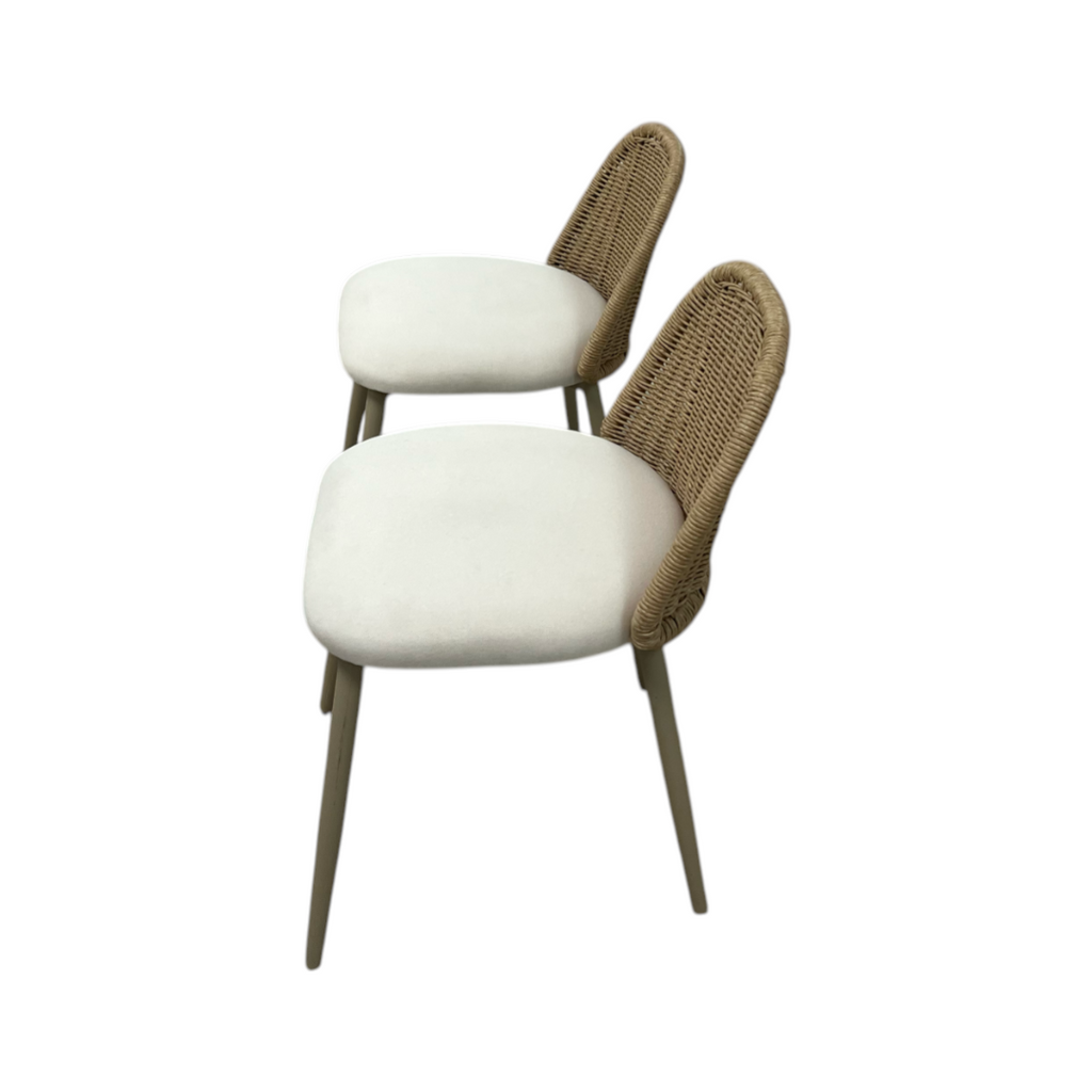 TOV Alexa Rattan Performance Fabric Dining Chair Set of 2