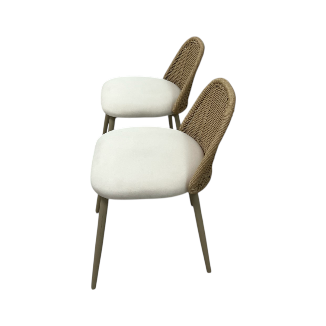 TOV Alexa Rattan Performance Fabric Dining Chair Set of 2