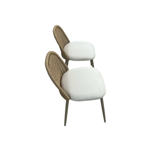 TOV Alexa Rattan Performance Fabric Outdoor Dining Chair Set of 2, image 12