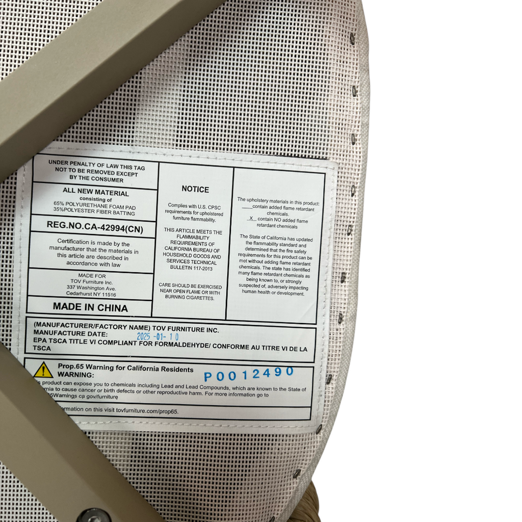 TOV Alexa Rattan Performance Fabric Dining Chair Set of 2