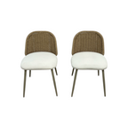 TOV Alexa Rattan Performance Fabric Dining Chair Set of 2
