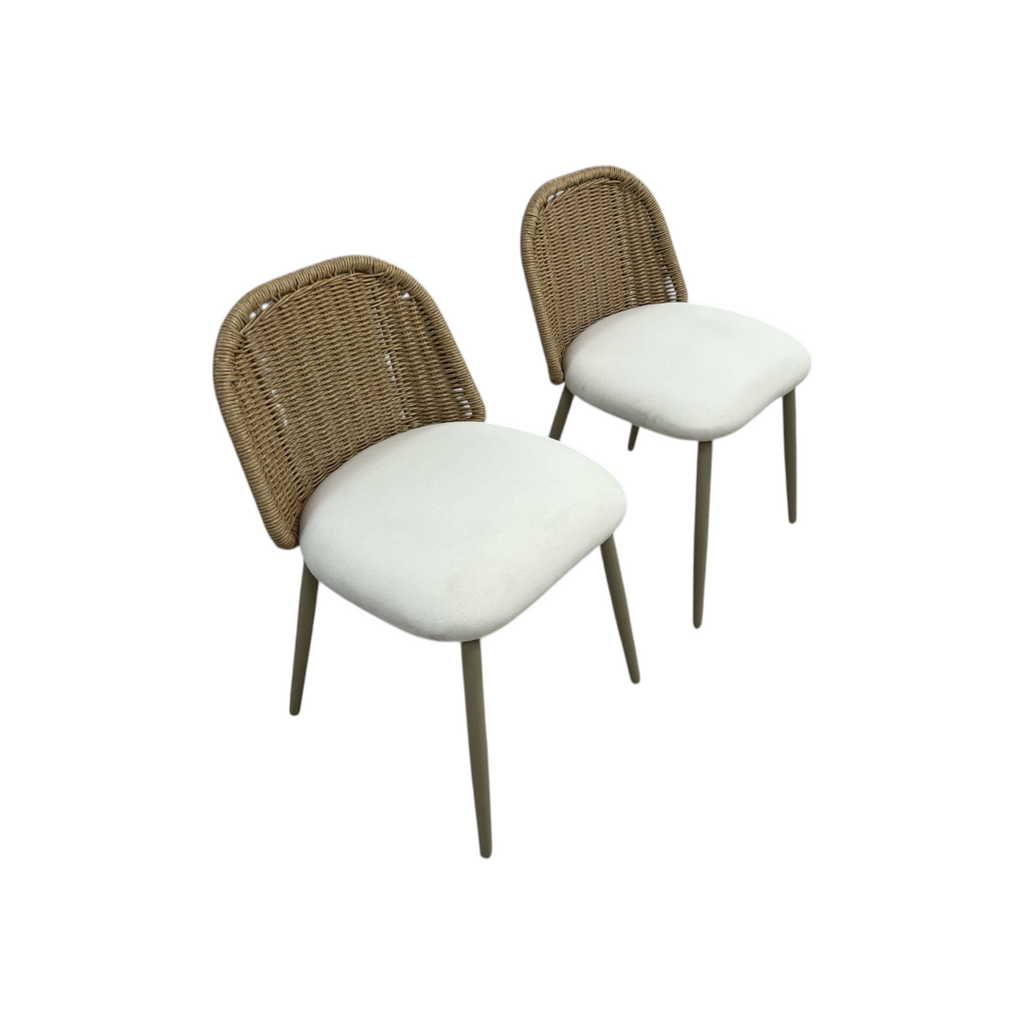 TOV Alexa Rattan Performance Fabric Dining Chair Set of 2
