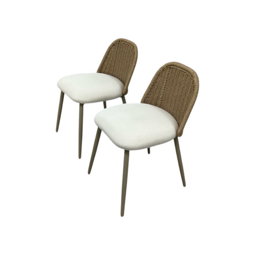 TOV Alexa Rattan Performance Fabric Outdoor Dining Chair Set of 2, image 5