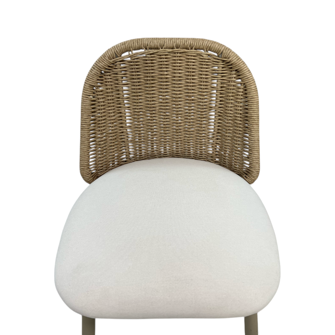 TOV Alexa Rattan Performance Fabric Dining Chair Set of 2