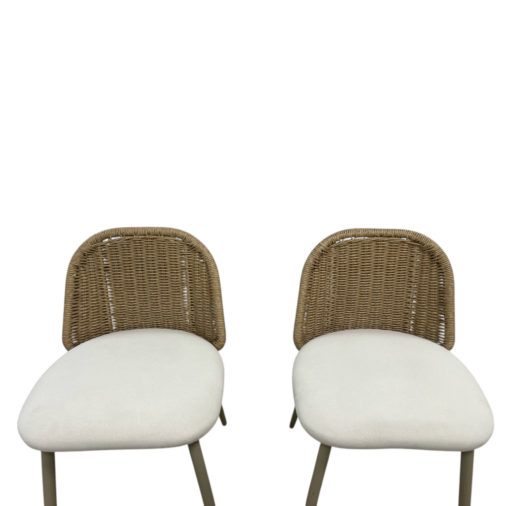 TOV Alexa Rattan Performance Fabric Dining Chair Set of 2