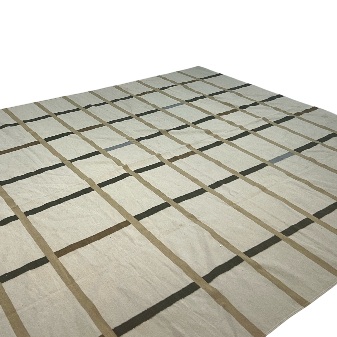 The Citizenry Rani Handwoven Area Rug