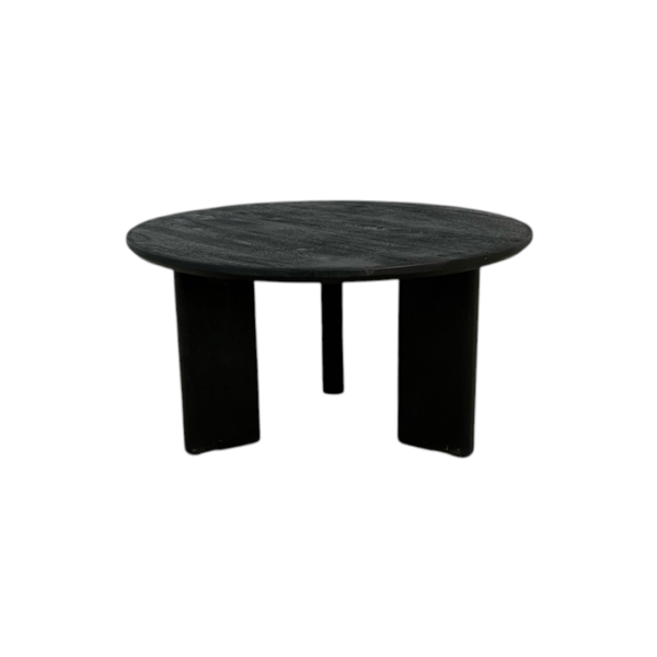 Havenly Jenni Black Coffee Table - Image 2