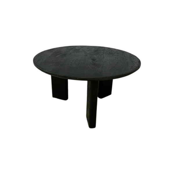 Havenly Jenni Black Coffee Table - Image 5