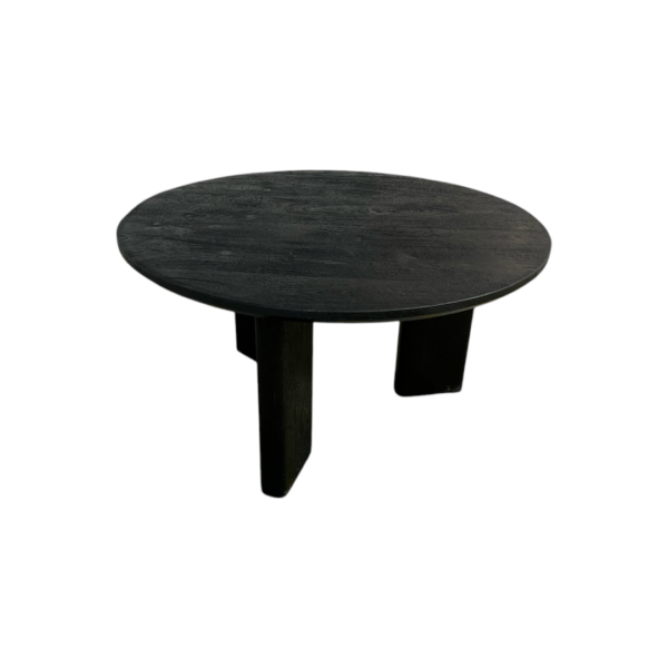 Havenly Jenni Black Coffee Table - Image 4